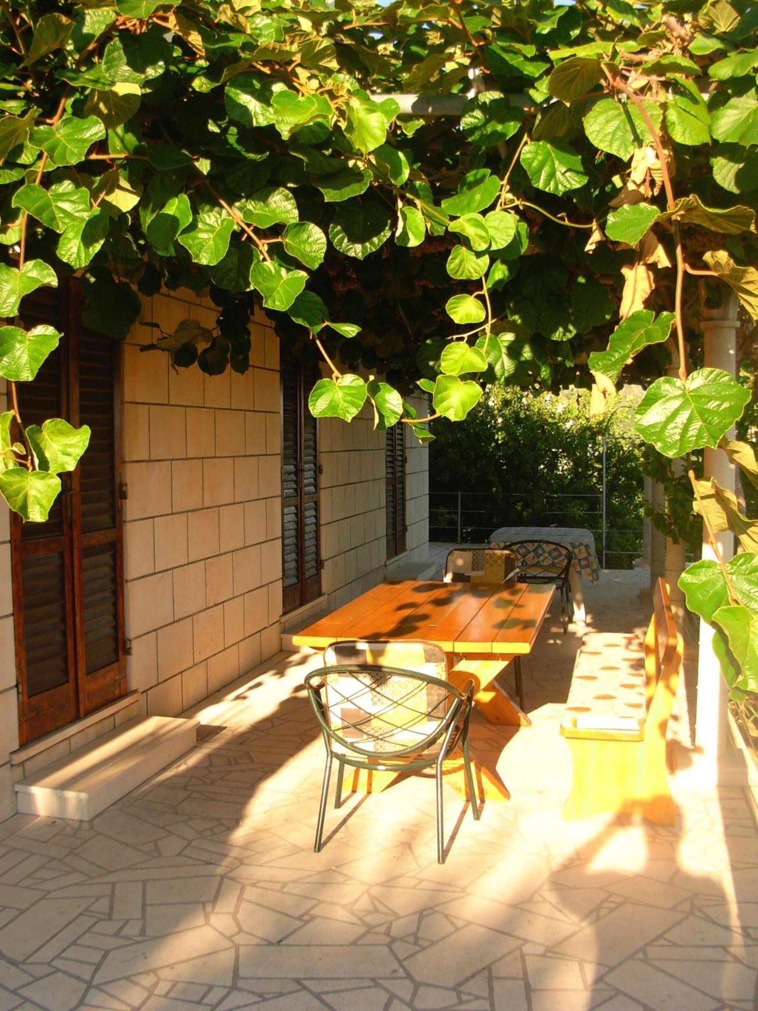 Apartments Druskovic Orašac Extérieur photo